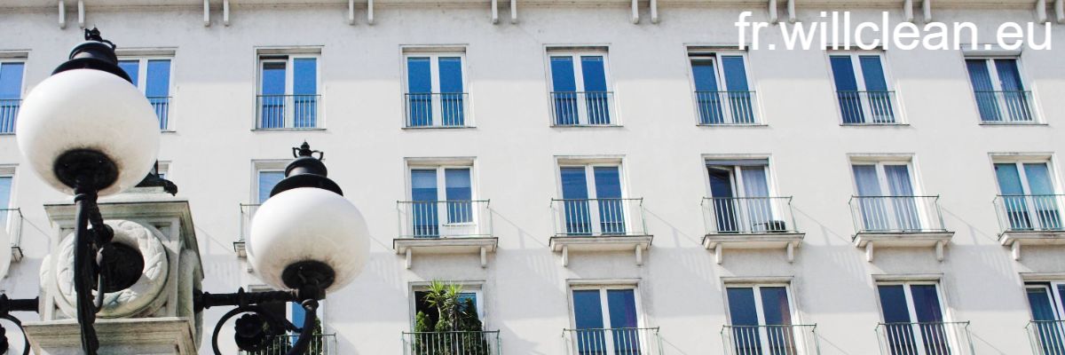 fr.willclean.eu